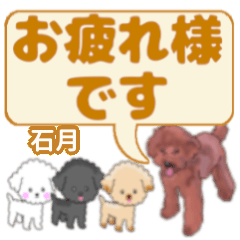 石月 いしつき さんのトイプードル会話 Line スタンプ Line Store