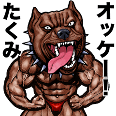 Takumi dedicated Muscle macho animal