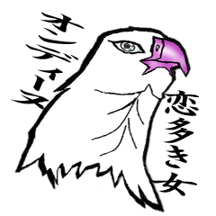 White-bellied sea eagle Sticker