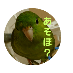 hikari_20201129015916