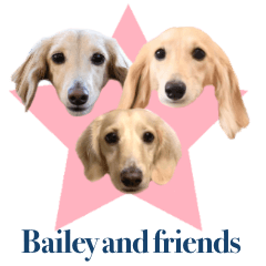 BAILEY and friends3