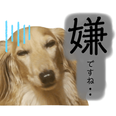 Nagisa_20201129111117