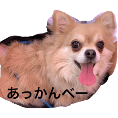 Miyuu_20201129114545