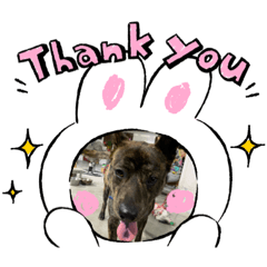 阿嘟的生活日子