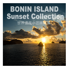 Bonin Island Sunset Collection