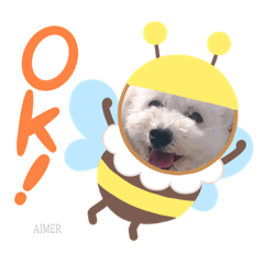 yukari_20201129131401