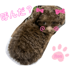 Nanami_20201129141429