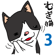 Mugi the cat 3