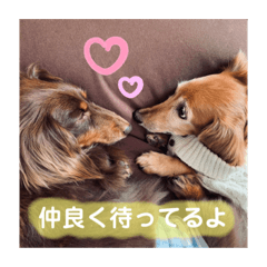 Kaho_20201129141427