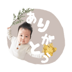 tanuki_20201129155647