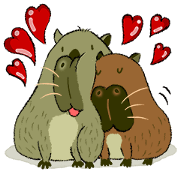a capybara and its neighbors 2