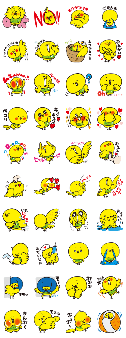 Cute little bird HIME!