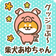 Petit Shiba Ayuchan (Joke Animal)