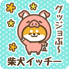 Petit Shiba Icchii (Joke Animal)