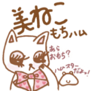 beautiful cat & mochiham
