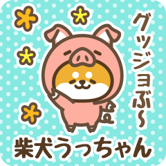 Petit Shiba Ucchan (Joke Animal)