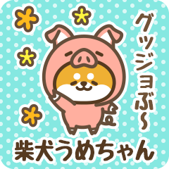 Petit Shiba Umechan (Joke Animal)