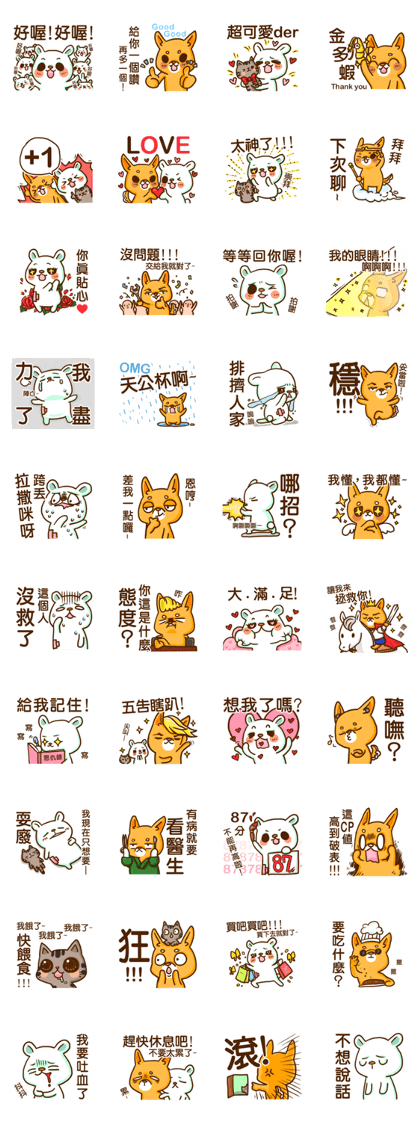 bandage bear&shiba inu-talk