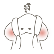 Yoon is rabbit