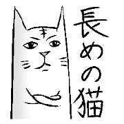 Cat of the long torso.