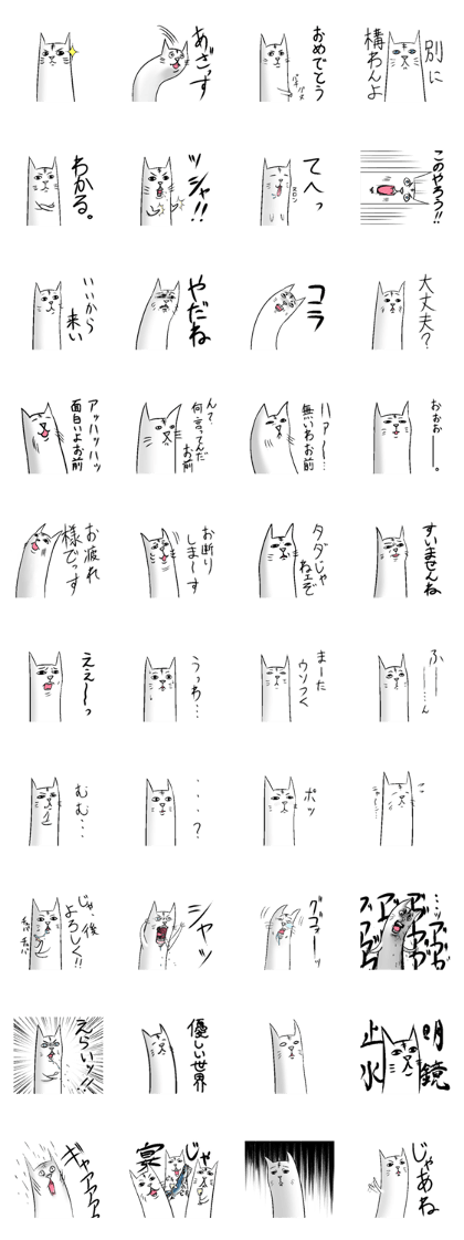 Cat of the long torso.