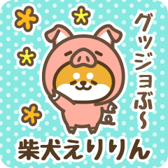 Petit Shiba Eririn (Joke Animal)