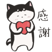 Small black shiba dog emumu