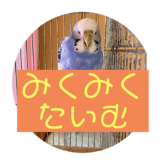 Emily_20201129170820