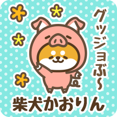 Petit Shiba Kaorin (Joke Animal)