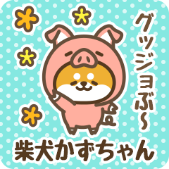 Petit Shiba Kazuchan (Joke Animal)