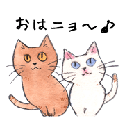 My cats&friends