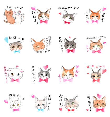 My cats&friends