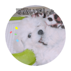 ミルクの可愛いスタンプ Lineクリエイターズスタンプ Stamplist ミルクの可愛いスタンプ Lineクリエイターズスタンプ Stamplist