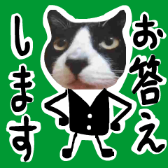 sticker japan cat&gin Photo version 7