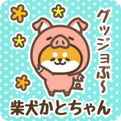 Petit Shiba Katochan (Joke Animal)