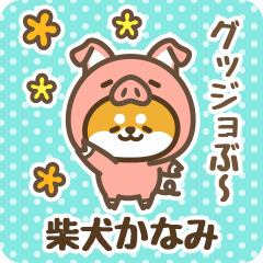 Petit Shiba Kanami (Joke Animal)