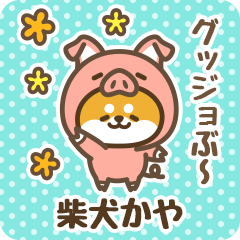 Petit Shiba Kaya (Joke Animal)