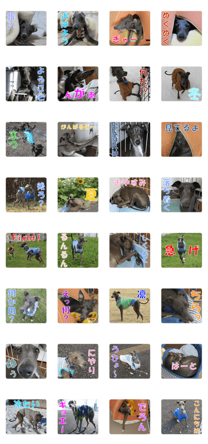 Sign Dog Ral 2