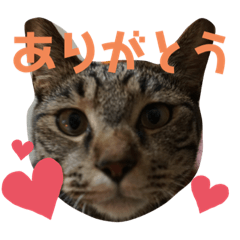 smile_20201129175235