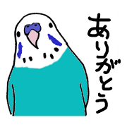 I love parrot 2
