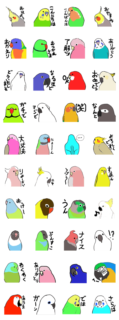 I love parrot 2