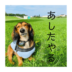 MARUMARU_20201129194405