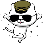 Military cat 6