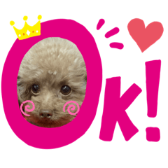 Nanami_20201129220249