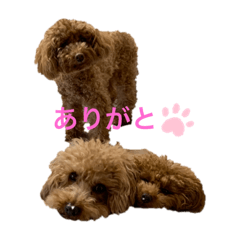 saya_20201129234832