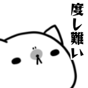 doshigata-cat