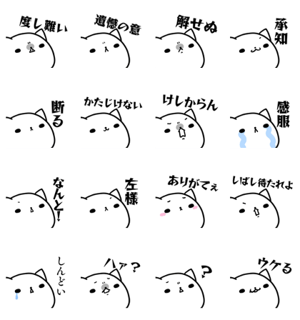 doshigata-cat