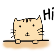 Cat 2017