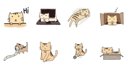 Cat 2017