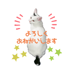 Chihiro_20201130012355